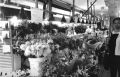 Market Stall
